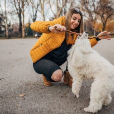 Frau spielt draußen mit Hund